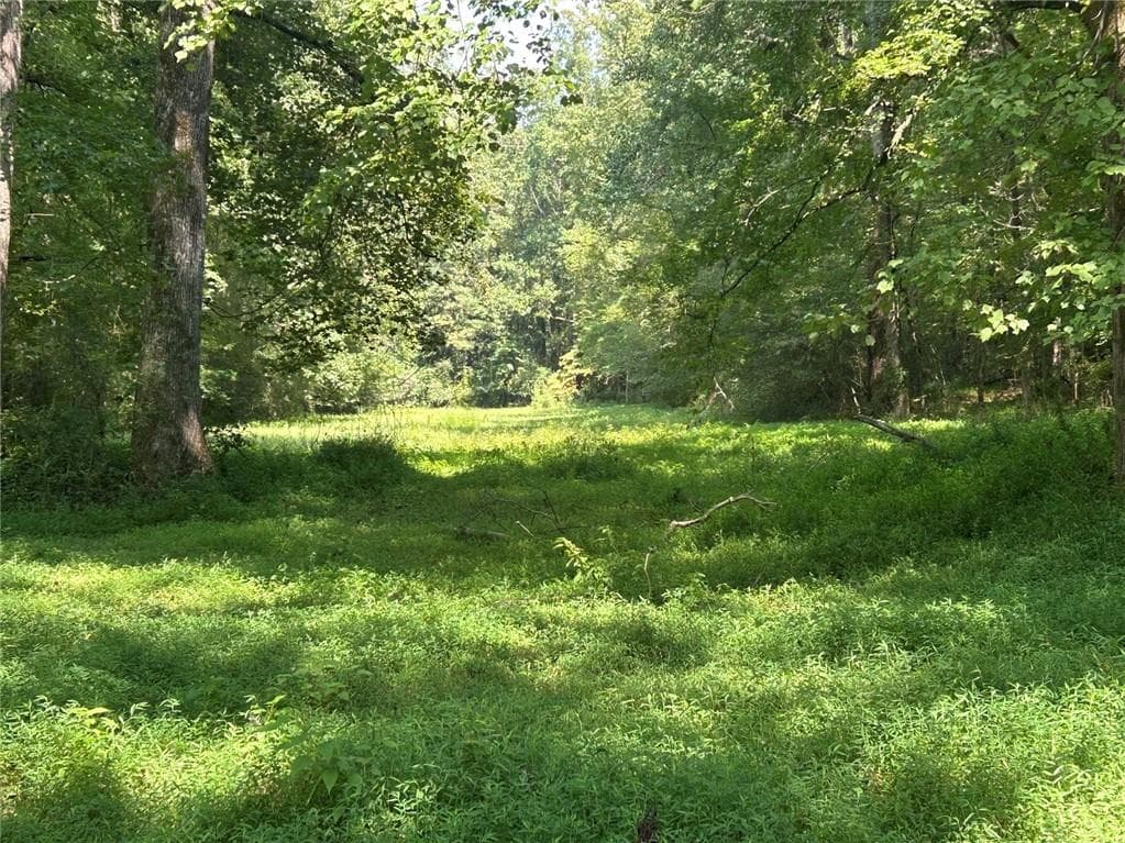 other for sale at 0 Attaway Road-9.22, Bowdon, GA 30108 — photo 2