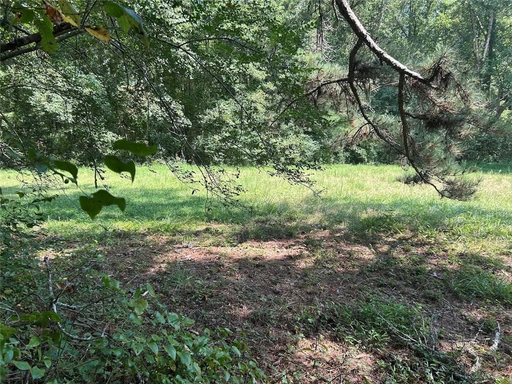 other for sale at 0 Attaway Road-9.22, Bowdon, GA 30108 — photo 3