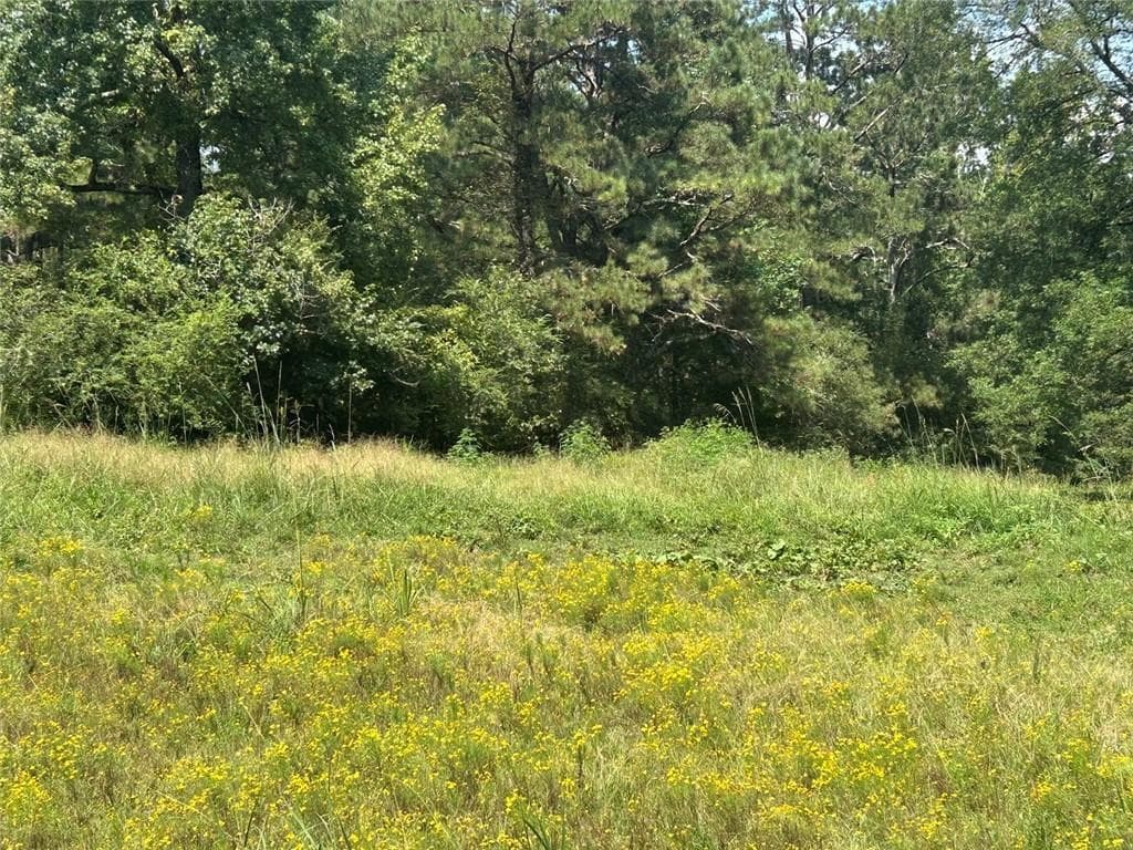 other for sale at 0 Attaway Road-9.22, Bowdon, GA 30108 — photo 4