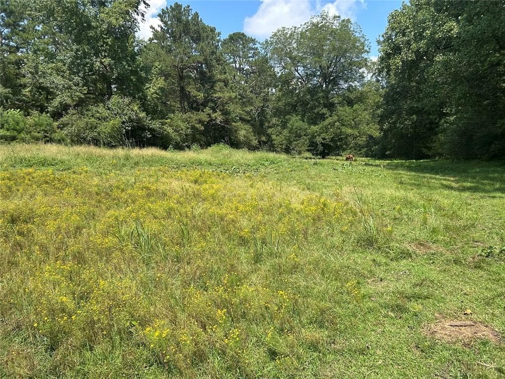other for sale at 0 Attaway Road-9.22, Bowdon, GA 30108 — photo 6