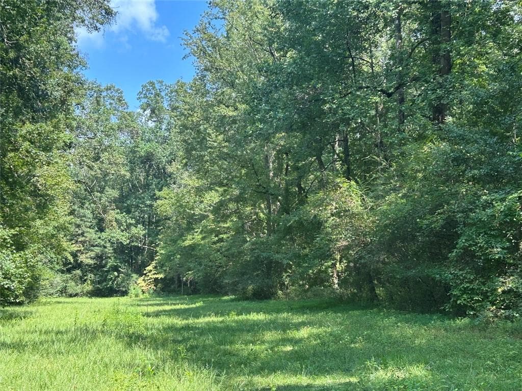 other for sale at 0 Attaway Road-9.22, Bowdon, GA 30108 — photo 7