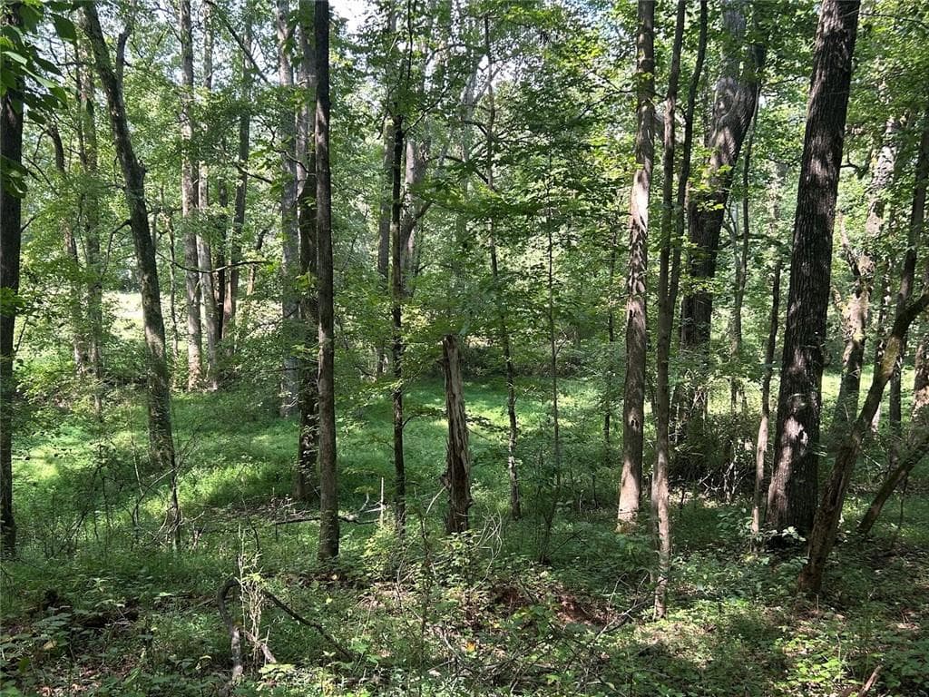 other for sale at 0 Attaway Road-9.22, Bowdon, GA 30108 — photo 10