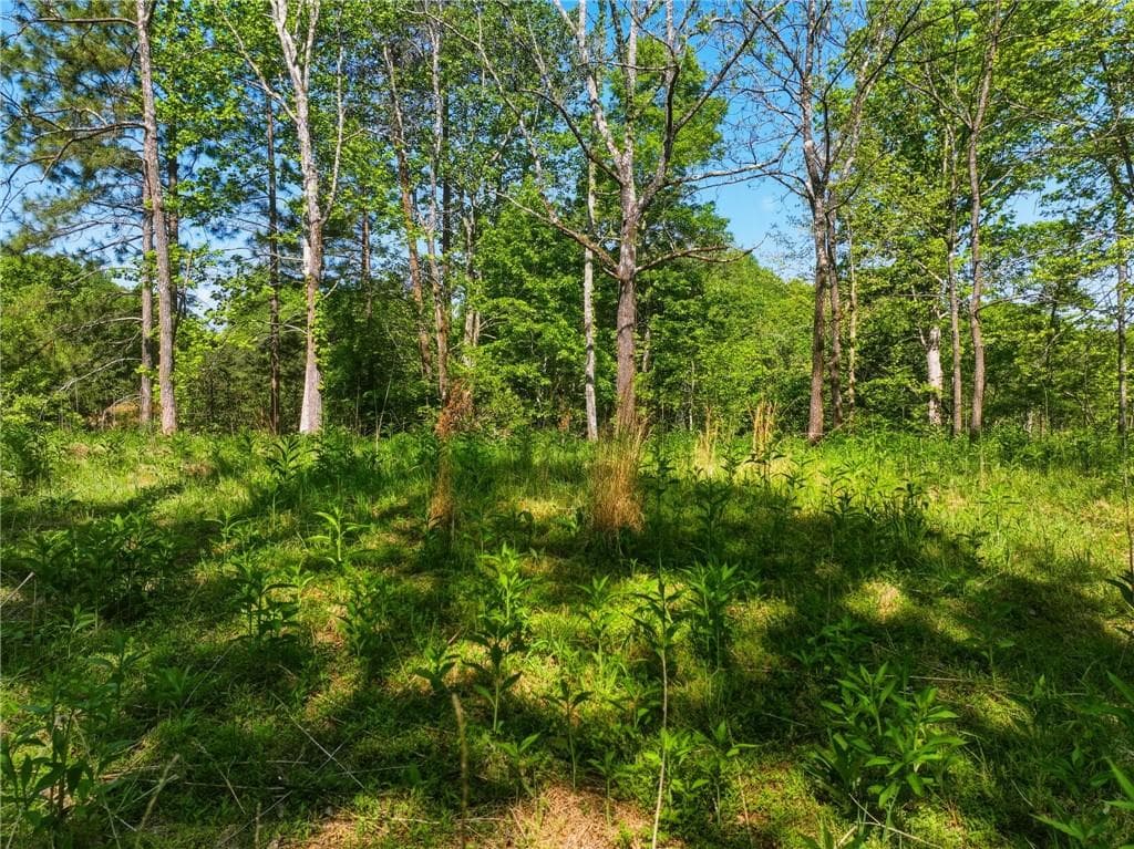 unimproved land for sale at Lot 1 Summit Drive, Dahlonega, GA 30533 — photo 5