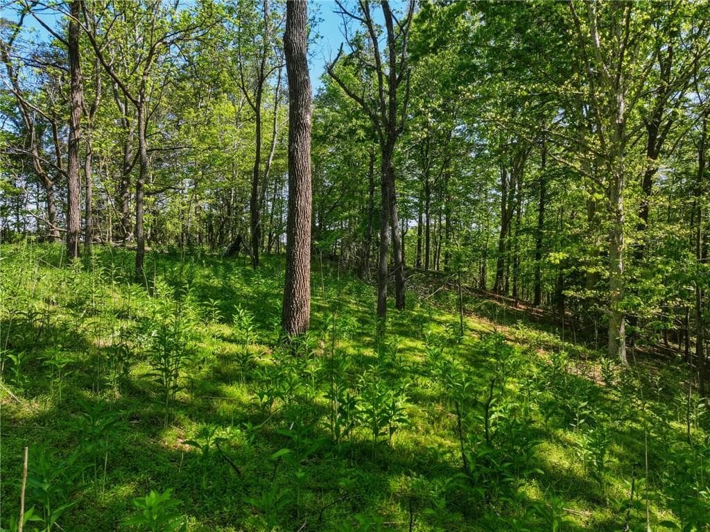 unimproved land for sale at Lot 1 Summit Drive, Dahlonega, GA 30533 — photo 6