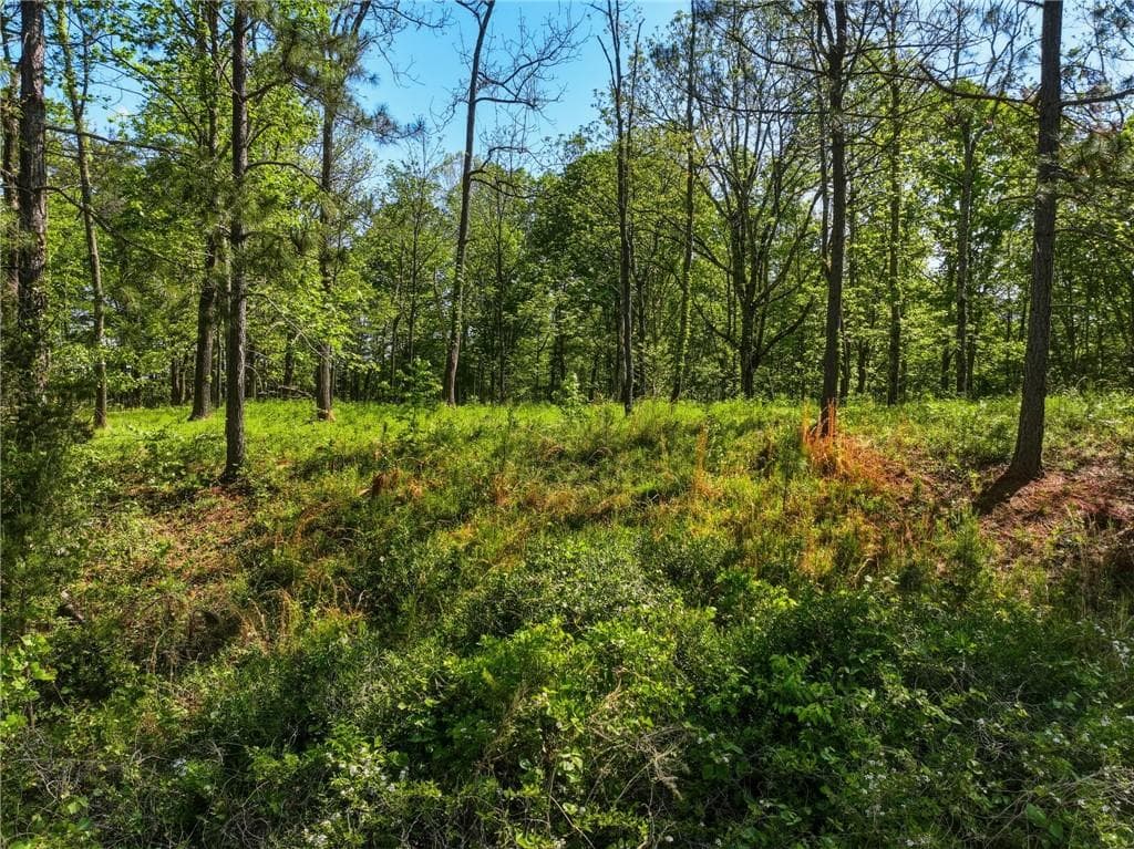 unimproved land for sale at Lot 1 Summit Drive, Dahlonega, GA 30533 — photo 7