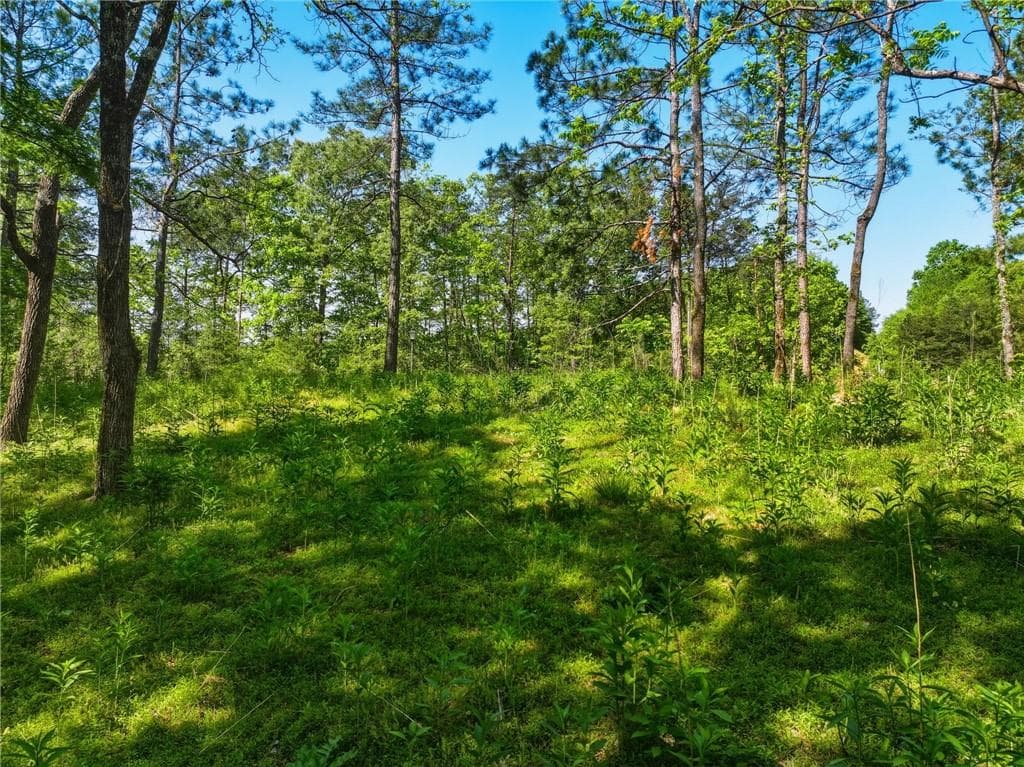 unimproved land for sale at Lot 2 Summit Drive, Dahlonega, GA 30533 — photo 2