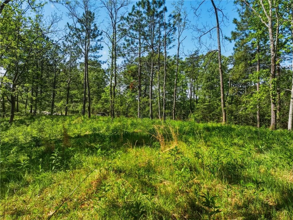unimproved land for sale at Lot 2 Summit Drive, Dahlonega, GA 30533 — photo 3