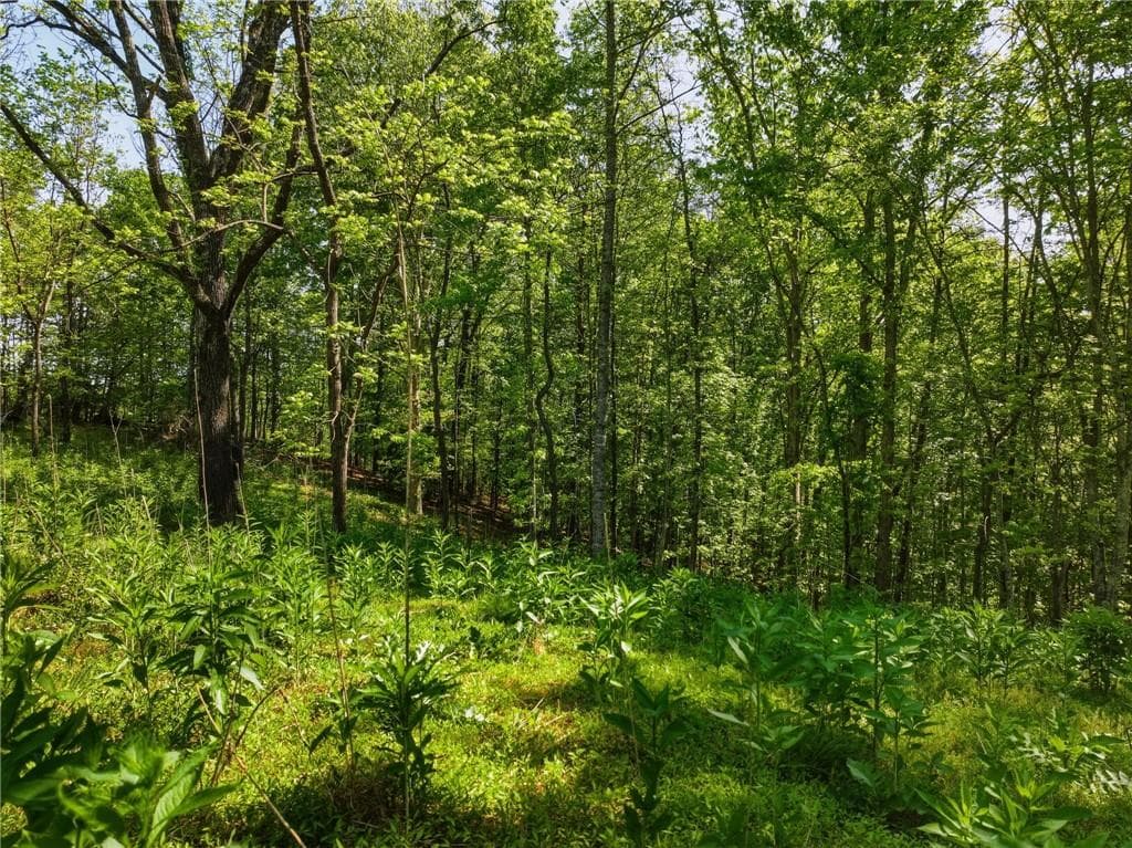 unimproved land for sale at Lot 2 Summit Drive, Dahlonega, GA 30533 — photo 4