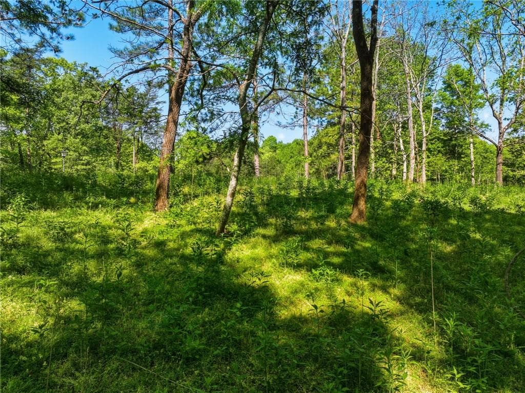 unimproved land for sale at Lot 3 Summit Drive, Dahlonega, GA 30533 — photo 2