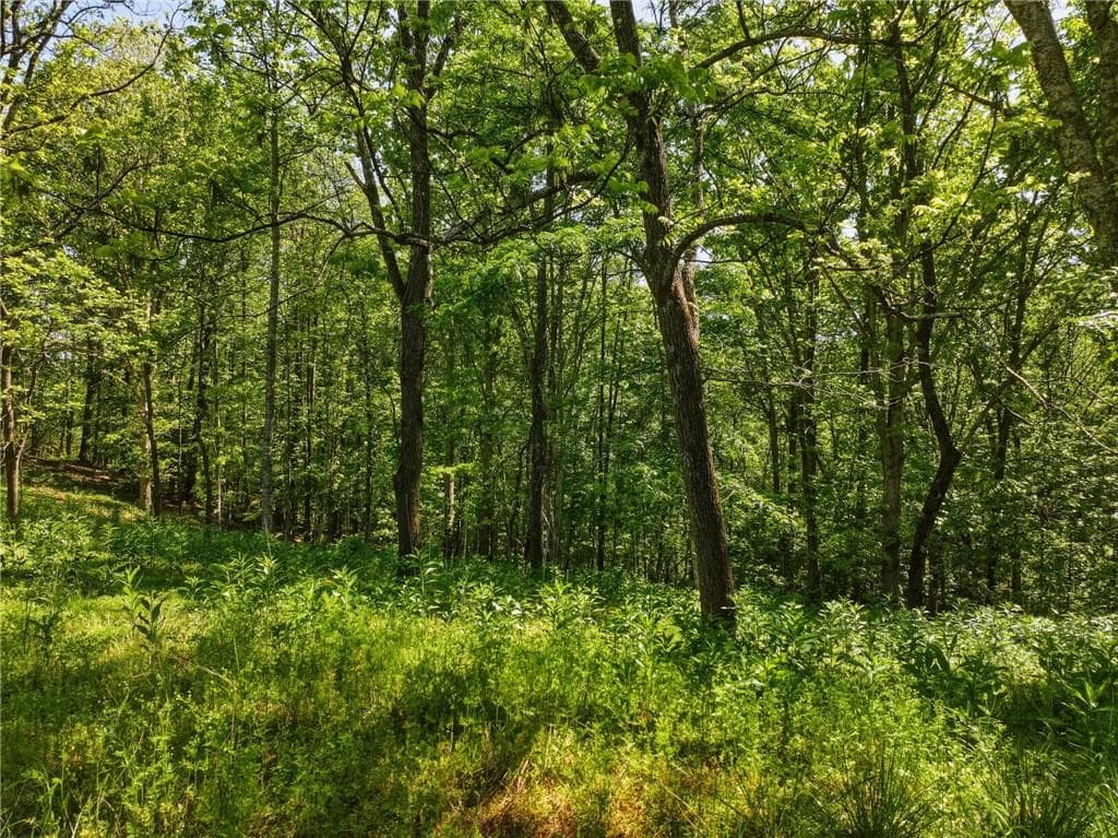 unimproved land for sale at Lot 3 Summit Drive, Dahlonega, GA 30533 — photo 3