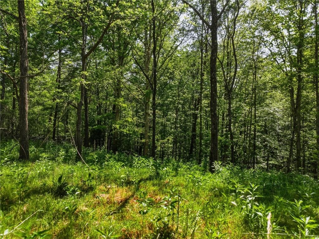 unimproved land for sale at Lot 3 Summit Drive, Dahlonega, GA 30533 — photo 4