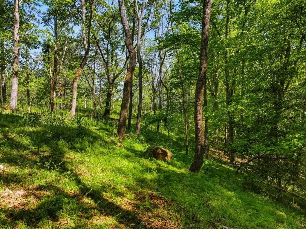 unimproved land for sale at Lot 4 Summit Drive, Dahlonega, GA 30533 — photo 3