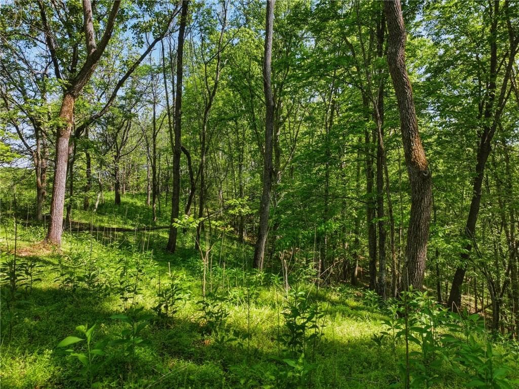 unimproved land for sale at Lot 4 Summit Drive, Dahlonega, GA 30533 — photo 4