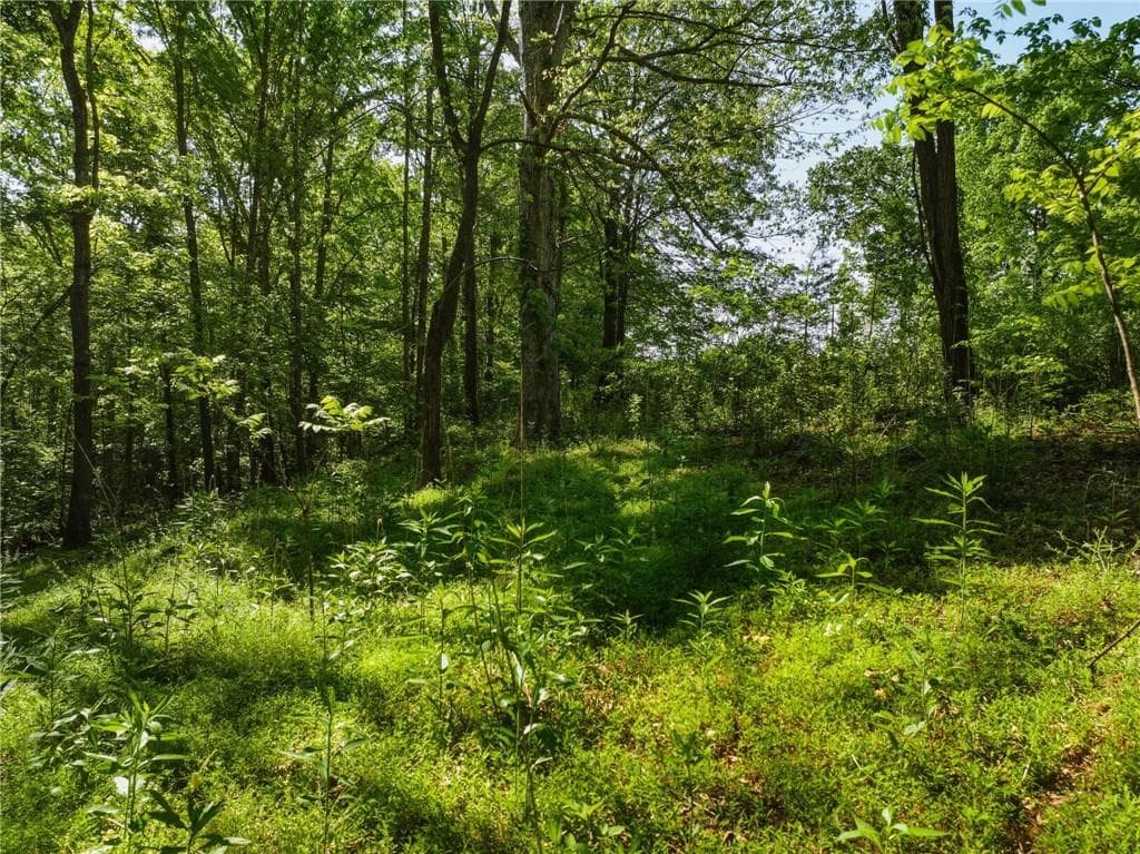 unimproved land for sale at Lot 4 Summit Drive, Dahlonega, GA 30533 — photo 5