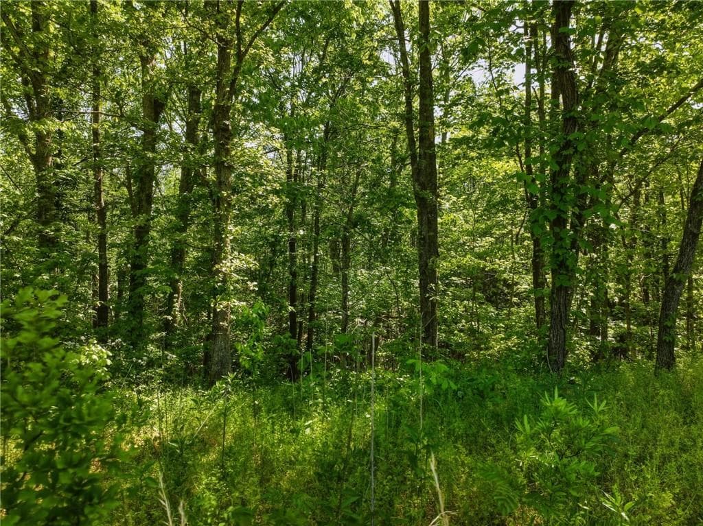 unimproved land for sale at Lot 5 Summit Drive, Dahlonega, GA 30533 — photo 3