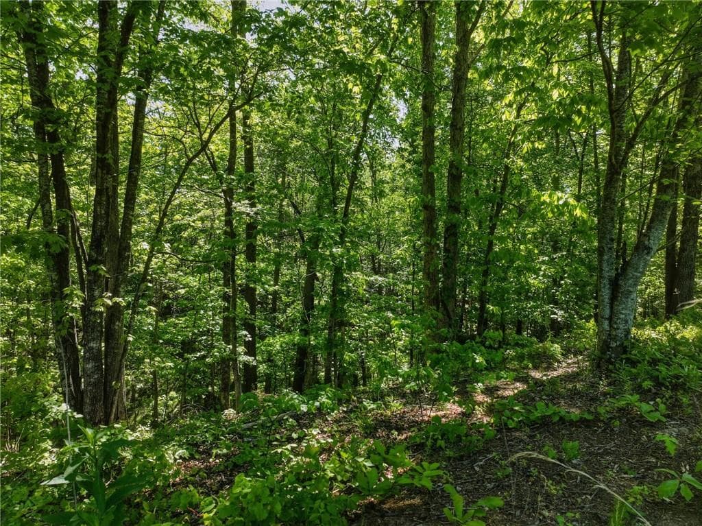 unimproved land for sale at Lot 5 Summit Drive, Dahlonega, GA 30533 — photo 4