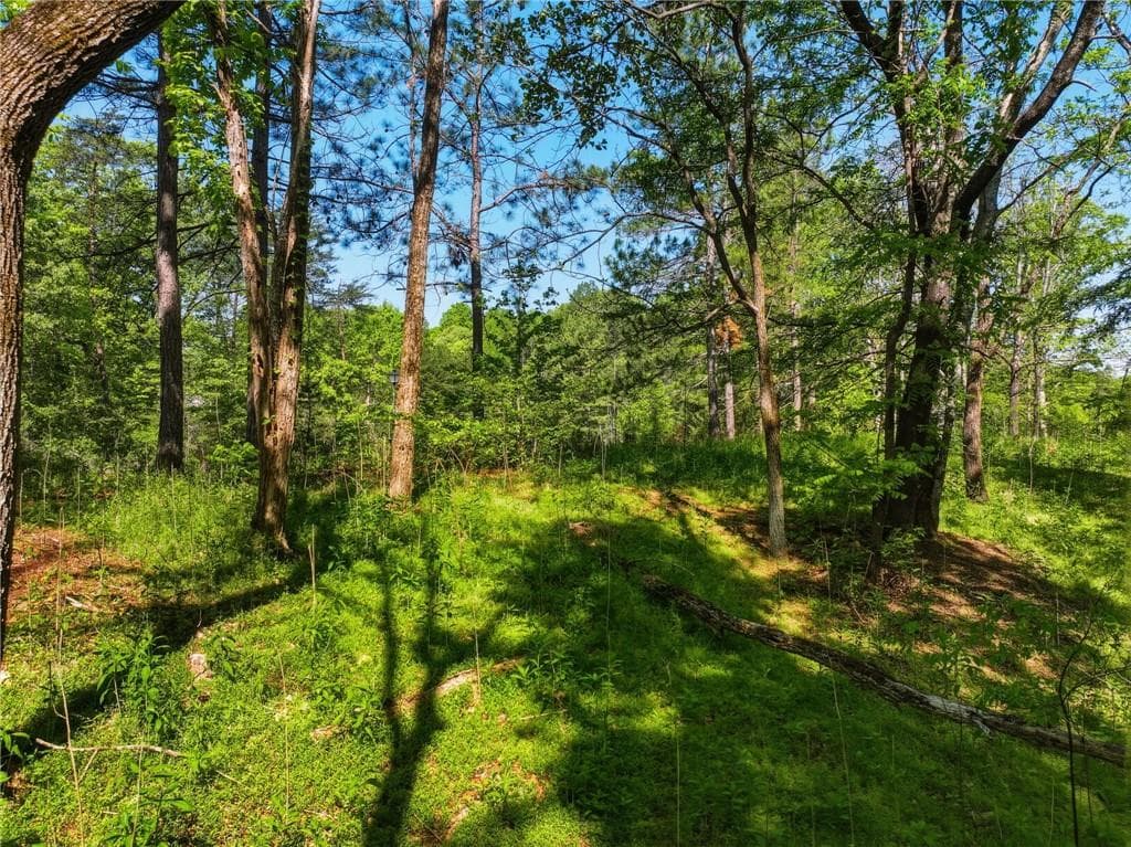 unimproved land for sale at Lot 5 Summit Drive, Dahlonega, GA 30533 — photo 5