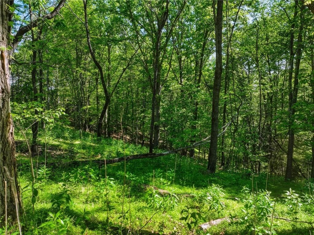 unimproved land for sale at Lot 6 Summit Drive, Dahlonega, GA 30533 — photo 4
