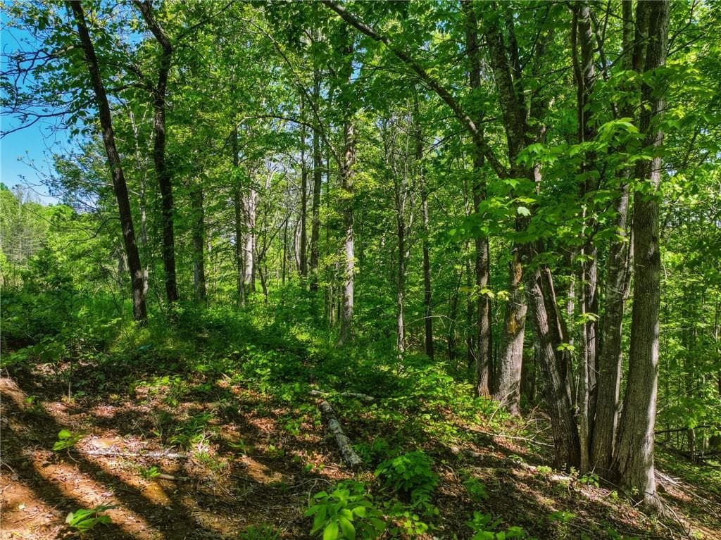 unimproved land for sale at Lot 6 Summit Drive, Dahlonega, GA 30533 — photo 5