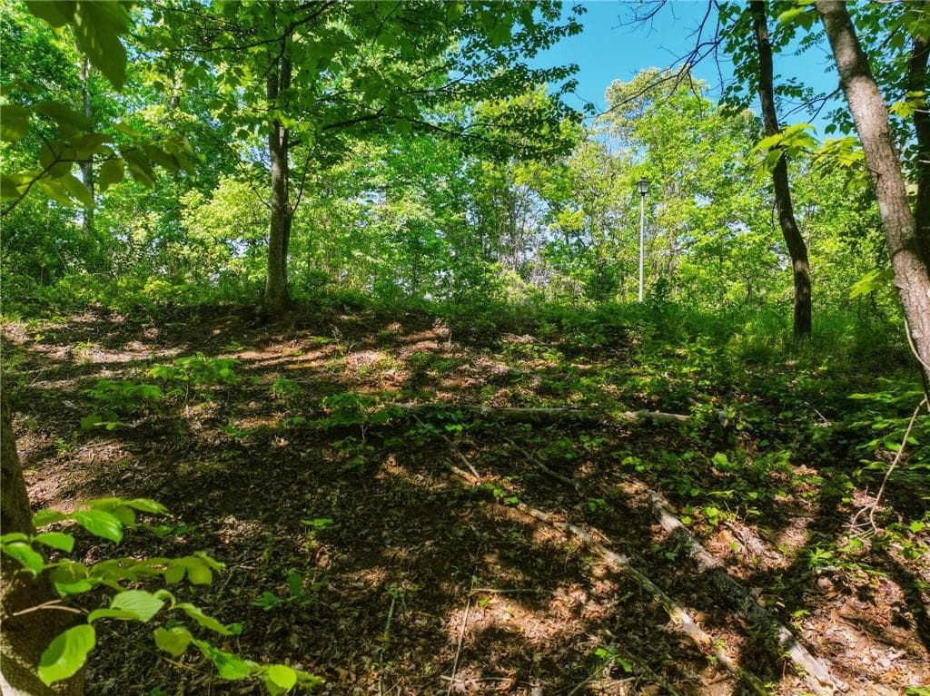 unimproved land for sale at Lot 6 Summit Drive, Dahlonega, GA 30533 — photo 6