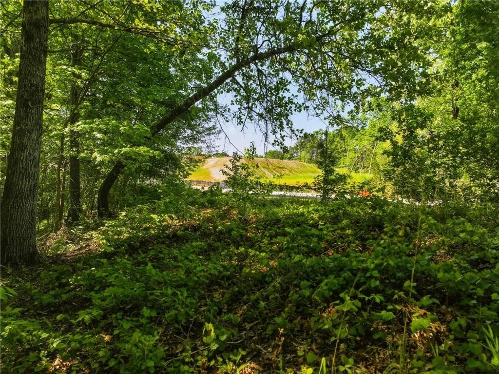 unimproved land for sale at Lot 7 Summit Drive, Dahlonega, GA 30533 — photo 3