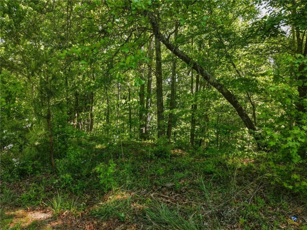unimproved land for sale at Lot 7 Summit Drive, Dahlonega, GA 30533 — photo 4