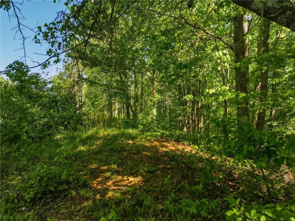 unimproved land for sale at Lot 7 Summit Drive, Dahlonega, GA 30533 — photo 5