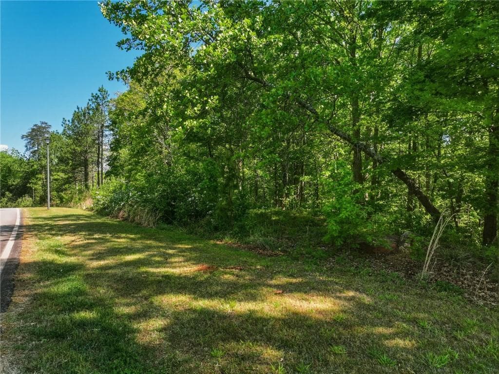unimproved land for sale at Lot 7 Summit Drive, Dahlonega, GA 30533 — photo 6