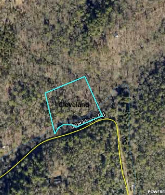unimproved land for sale at 0 Blackburn Road, Cleveland, GA 30528