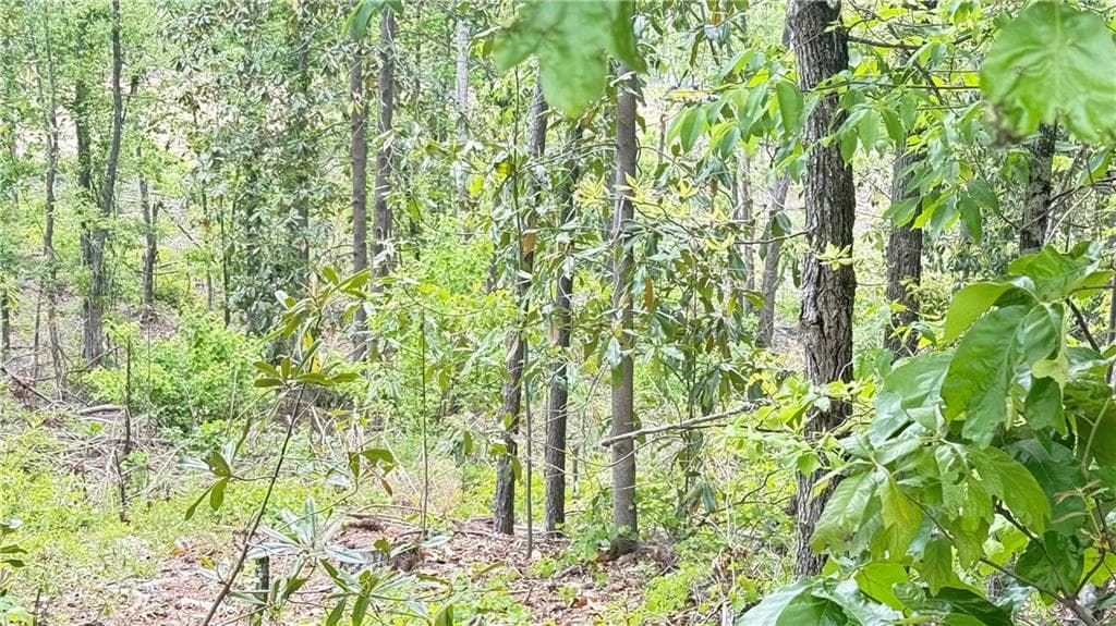 other for sale at 0 Hulseytown Road, Dallas, GA 30157