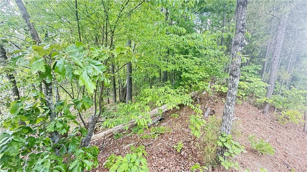 other for sale at 0 Hulseytown Road, Dallas, GA 30157 — photo 2
