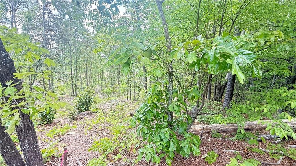 other for sale at 0 Hulseytown Road, Dallas, GA 30157 — photo 3