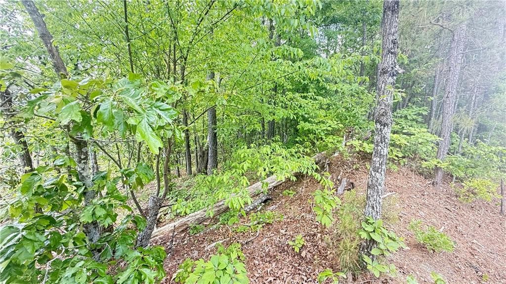 other for sale at 0 Hulseytown Road, Dallas, GA 30157 — photo 4