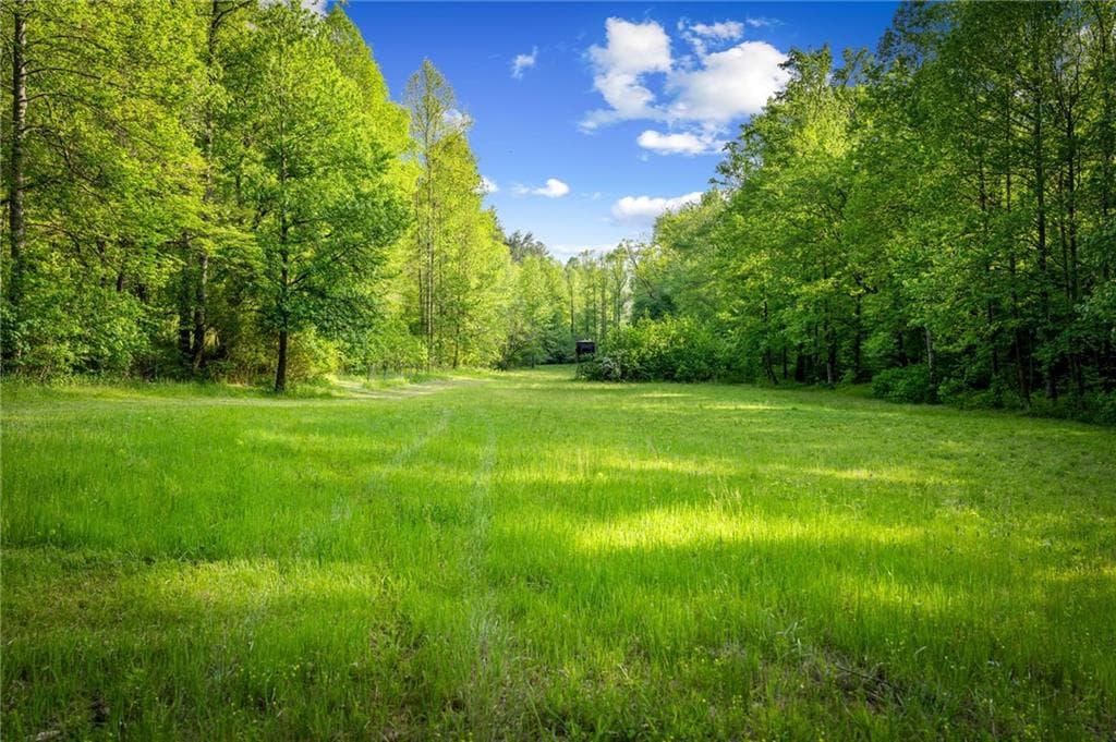 5 bedroom, 5 bathroom, 4,265 sq ft single family residence for sale at 460 Wikle Drive, Ellijay, GA 30540 — photo 6