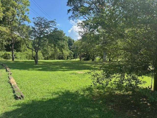 other under contract at 0 Call Wright Rd - 3.54 acres, Ellijay, GA 30540 — photo 2