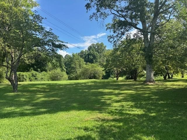 other under contract at 0 Call Wright Rd - 3.54 acres, Ellijay, GA 30540 — photo 4