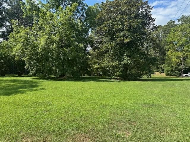 other under contract at 0 Call Wright Rd - 3.54 acres, Ellijay, GA 30540 — photo 6