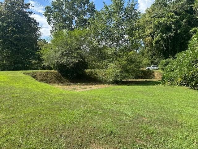 other under contract at 0 Call Wright Rd - 3.54 acres, Ellijay, GA 30540 — photo 7
