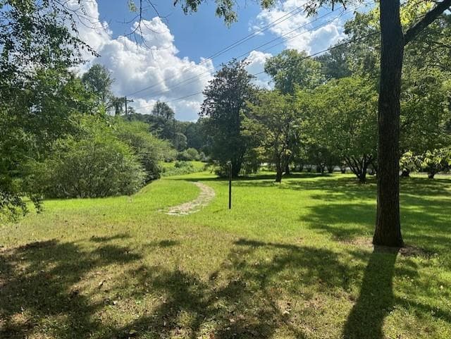 other under contract at 0 Call Wright Rd - 3.54 acres, Ellijay, GA 30540 — photo 8