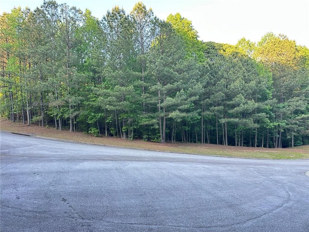 unimproved land for sale at 9550 Grande Drive, Winston, GA 30187 — photo 5