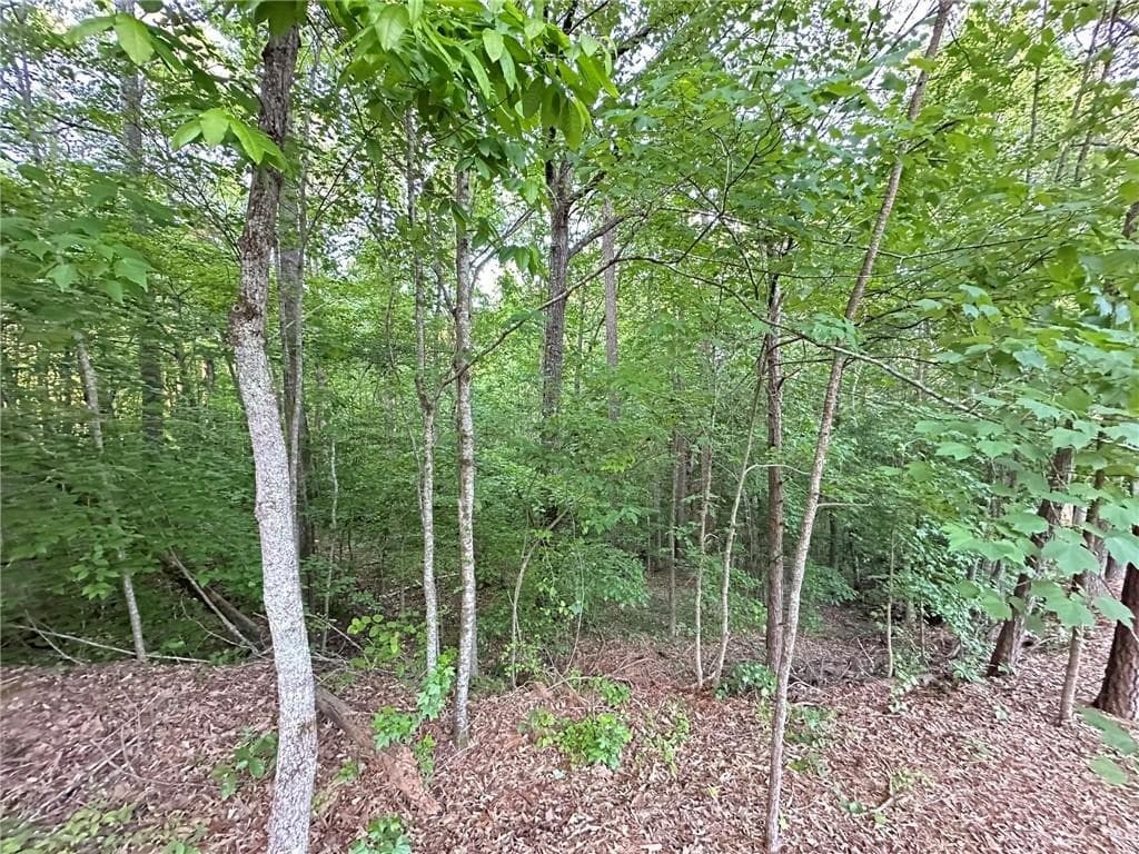 unimproved land for sale at 9550 Grande Drive, Winston, GA 30187 — photo 6