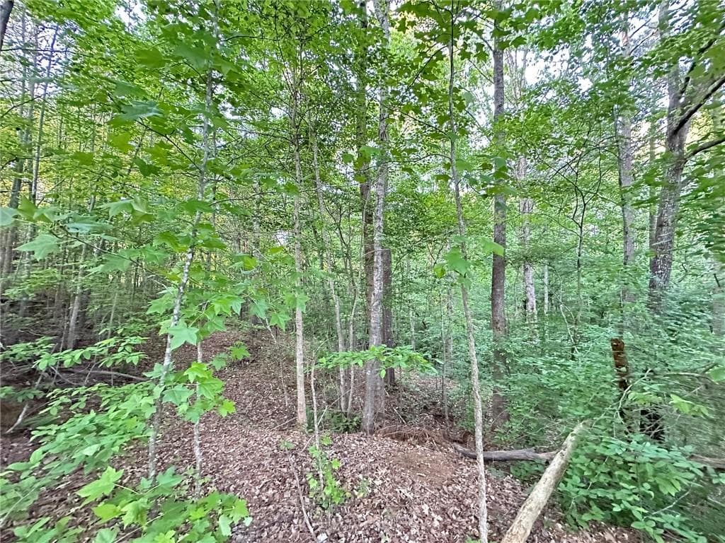 unimproved land for sale at 9550 Grande Drive, Winston, GA 30187 — photo 7