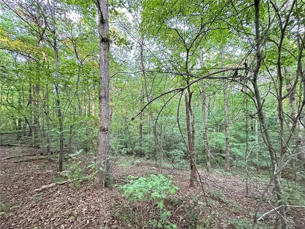 unimproved land for sale at 9550 Grande Drive, Winston, GA 30187 — photo 8