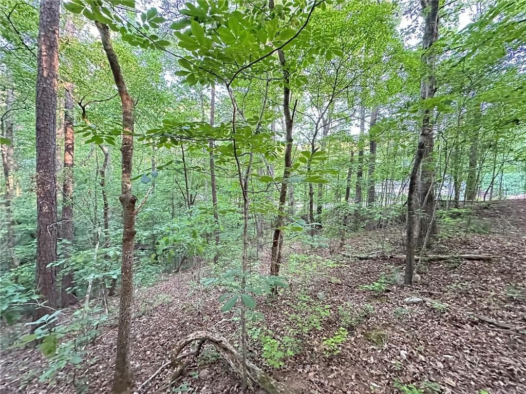 unimproved land for sale at 9550 Grande Drive, Winston, GA 30187 — photo 9