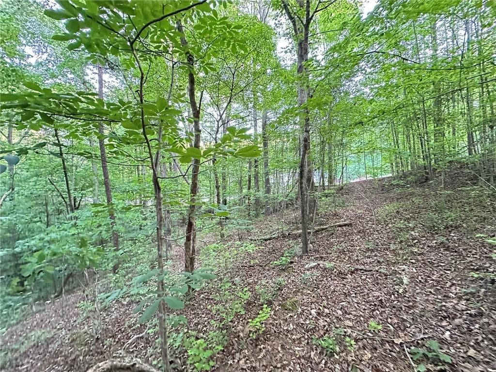 unimproved land for sale at 9550 Grande Drive, Winston, GA 30187 — photo 10