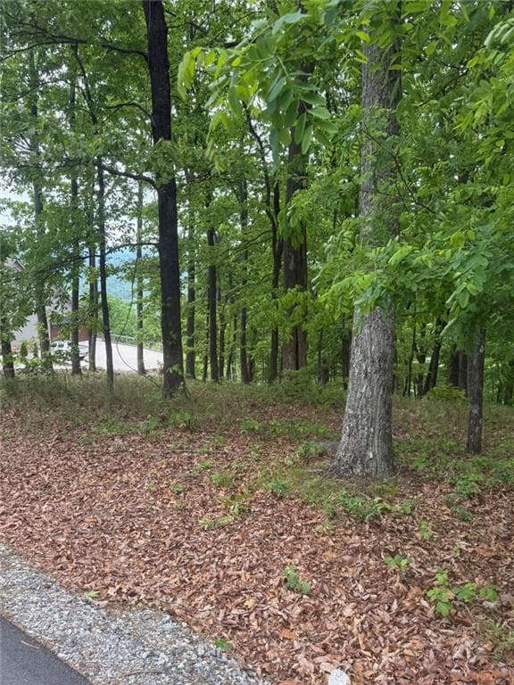 single family residence for sale at Lot 38 Mountainside Drive, Cleveland, GA 30528 — photo 4