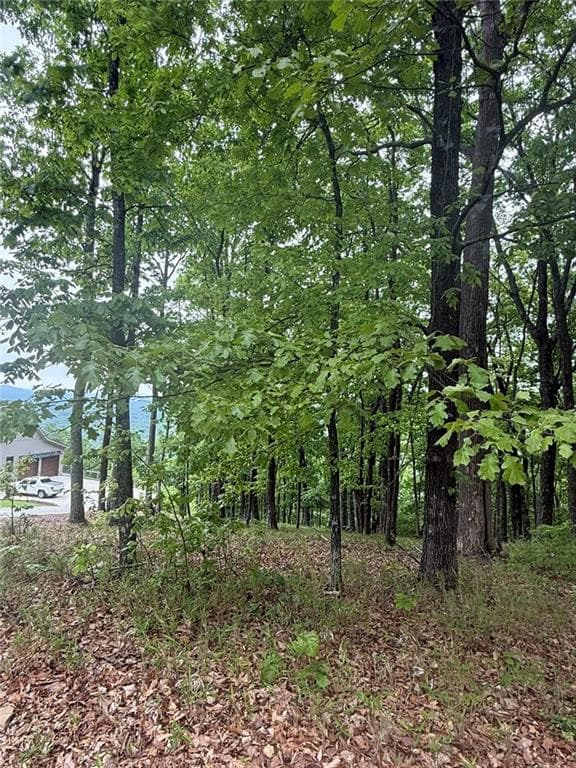 single family residence for sale at Lot 38 Mountainside Drive, Cleveland, GA 30528 — photo 5
