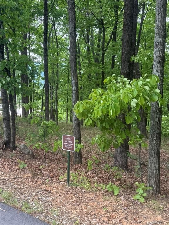 single family residence for sale at Lot 38 Mountainside Drive, Cleveland, GA 30528 — photo 8