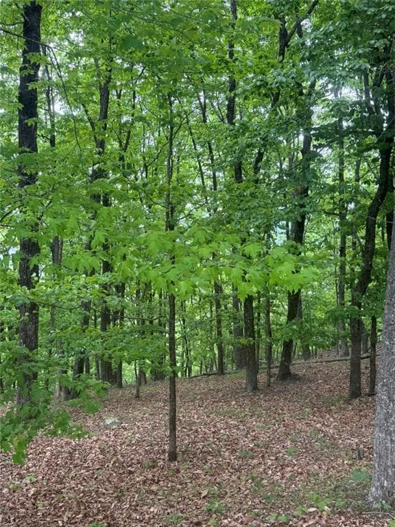 single family residence for sale at Lot 38 Mountainside Drive, Cleveland, GA 30528 — photo 9