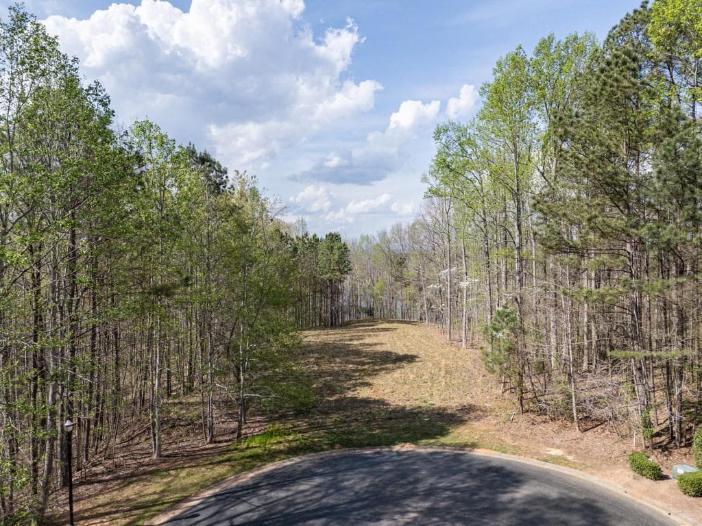single family residence under contract at 1005 Overlook Terrace lot 53, Ball Ground, GA 30107 — photo 2